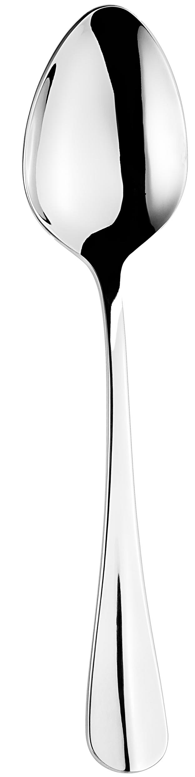 EETLEPEL 2.5MM 18/10 BAGUETTE LM ETER. 12X1ST