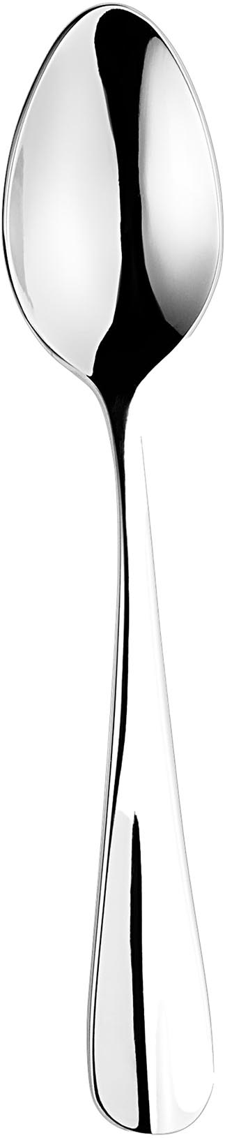 KOFFIELEPEL 2.5MM 18/10 BAGUETTE LM ET. 12XST