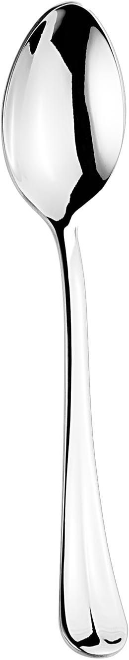 MOKKALEPEL 2.5MM 18/10 BAGUETTE ETER. 12X1ST