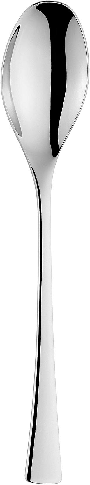 KOFFIELEPEL 2.5MM 18/10 CURVE ETERNUM 12X1ST