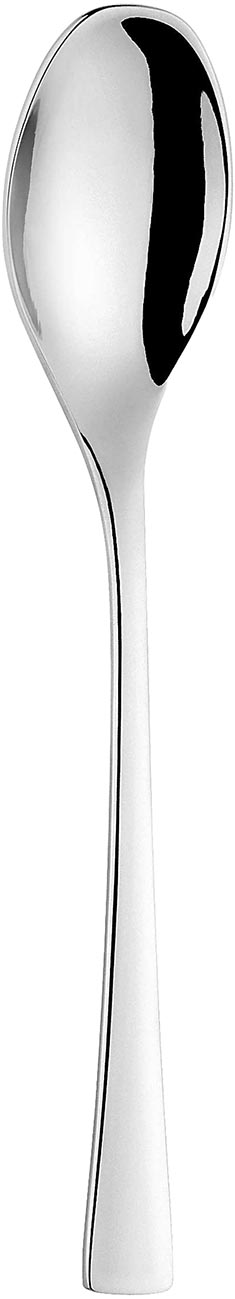 MOKKALEPEL 2.5MM 18/10 CURVE ETERNUM 12X1ST