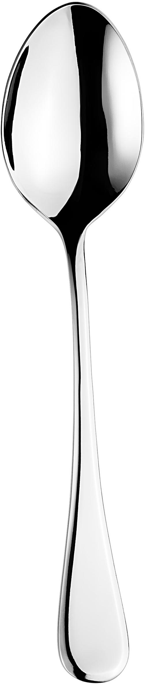 EETLEPEL 2.5MM 18/10 RIVOLI ETERNUM 12X1ST